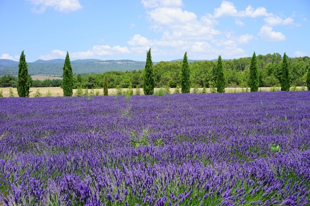 Provence