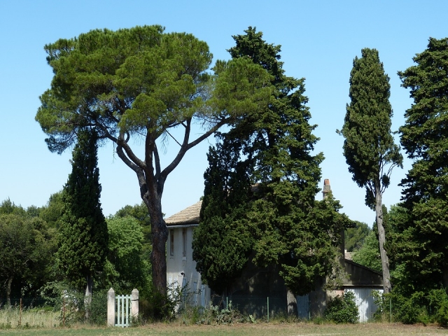 Provence