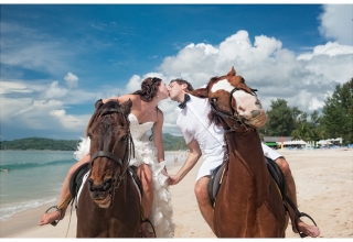 Koně, dravci a šerm na svatbě